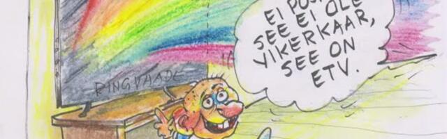 Kas eestlastel enam ongi kultuuri, millele raskel hetkel toetuda?