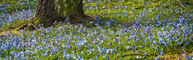 Mida rääkisid vanad eestlased kevadise pööripäeva kohta?