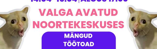 Valgamaa noorte öö tuleb taas!