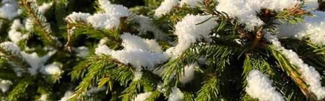 Järgmistel päevadel jätkub talvisem ilm