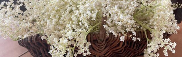 Vanaema hüva nõu: taimed ja lihtsad rituaalid, mis rahvapärimuse järgi toovad rikkust koju õnne