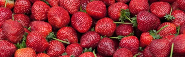 2/3 tööotsijatest on valmis tänavu hooajatööd tegema