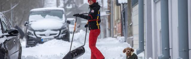 Sünoptik Taimi Paljak: homme on oodata tuisku ja tormi, nädalavahetusel lisandub ka külmakraade