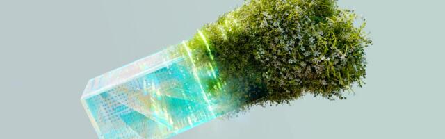 Vallavalitsusse energiasäästuga tegelevat eksperti ei palgatud