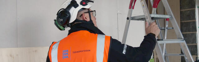 Mis vahe on töökeskkonna konsultandil ja tööinspektoril?