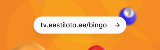 Bingo loto loosimine kolib ajutisel veebi