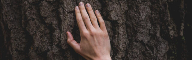 Eestlased oskavad puudega suhelda