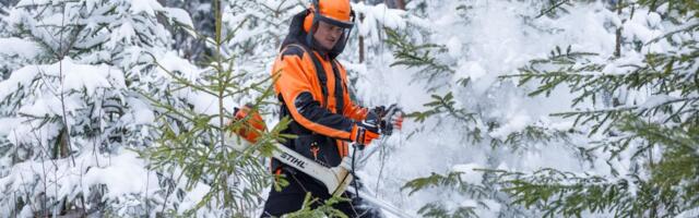 Rahvusvahelised auditid kinnitavad, et RMK majandab metsi säästlikult