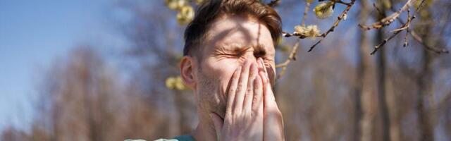 Allergoloog hoiatab: ravimata hooajalisest allergiast võib välja kujuneda astma
