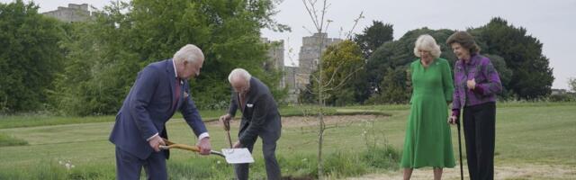 AJALOOLINE LABIDAS! Kuningas Charles ja Carl XVI Gustaf istutasid üheskoos puu