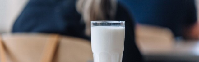 Uuring: Eesti pered hindavad piima ostmisel enim värskust