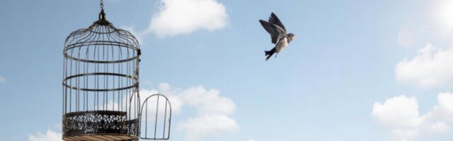 Kas me oleme õigusega vabad või mitte?