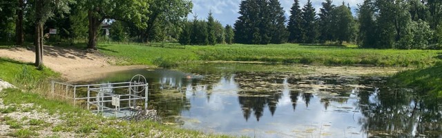 Ala­ve­re tiik on taas ve­ti­kaid täis