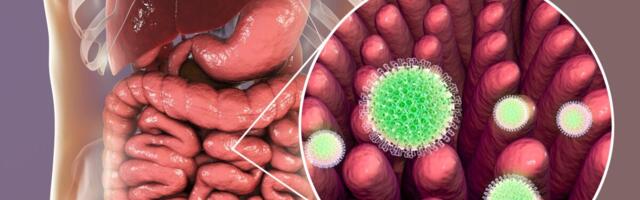 Tänavu on registreeritud 127 rotaviiruse juhtu