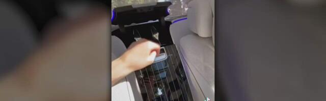 Millised on värsked Tiktoki trendid?