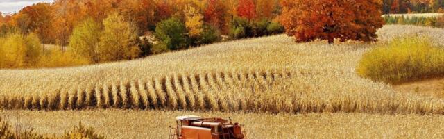 Kabali plaan on käivitunud: likvideerida kõik talud – pole enam toitu, pole enam inimesi