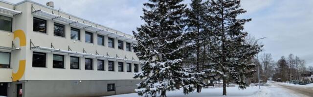 PUUDERAIE | Sadama tänaval langetatakse 19 suurt puud