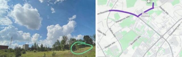 Lätis ründas ilves aasal lilli korjanud tüdrukut