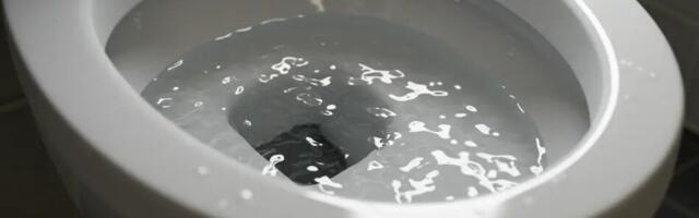 Sära puhtus – looduslik lahendus tualeti hoolduseks