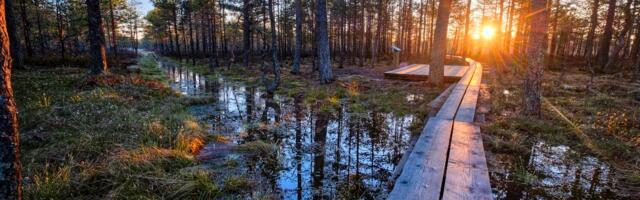 ILMATEADE | Kevadpäike kergitab õhutemperatuuri veelgi, mõnel pool kuni +10 ja rohkemgi