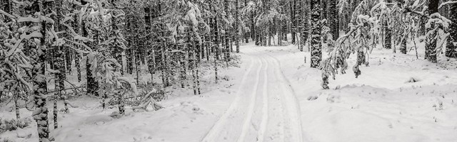 Lumesadu õhutas suusaradu rajama ka rohumaadele