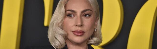Surfifirma saatis Lady Gagale hiiglasliku hagi kaela_ ettevõtte sõnul kasutab popstaar nende logoga identset kujundust