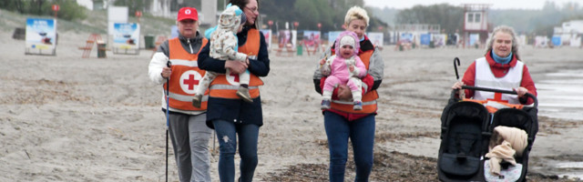 KEPIKÕNDIJAD PÄRNU RANNALIIVAL