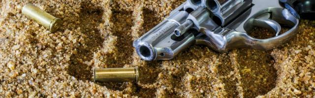 Politsei pidas kinni püssi paugutanud ja ohvrit relvaga löönud mehe