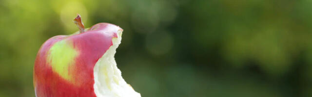 Lollidelt tuleb raha ära võtta