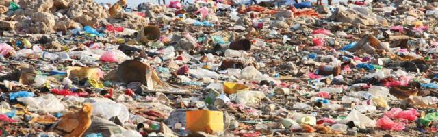 Plastiktolm on loonud uue rassi – plastikinimene