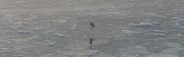 Jääolud – enne jääle minekut veendu, kas see kannab ka sind