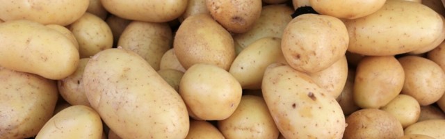 Kartuli hind turul on kasvatajate jaoks väga odav ja Eesti kartul võib poeletilt kaduda