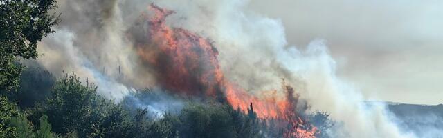 Hispaanias abis olnud päästjad jõudsid tagasi