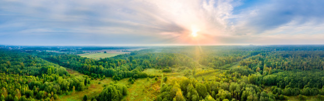 Mu süda on mu kodu ja vabadus on mu tee