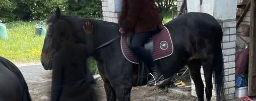 Haige hobune sunniti osalema ratsamatkadel selle asemel, et talle vajalikku abi pakkuda