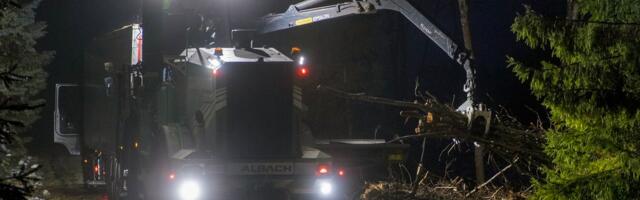 PUIDUTURG | Haavapuidu hind üllatab