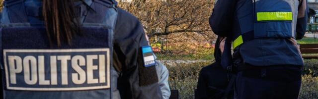 Politsei alustas Tammsaare pargis noaga ähvardanud nooruki suhtes kriminaalmenetlust