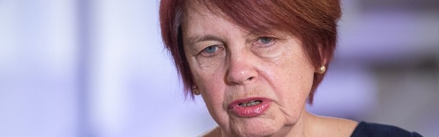 Irja Lutsar, Eesti majanduse hauakaevaja: teie peske käsi, meie peseme teie ajusid