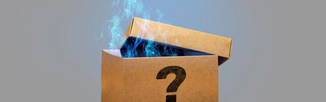 ANALÜÜS: kuidas viimsilaste raha eest vallajuhid omale valimispromo teevad