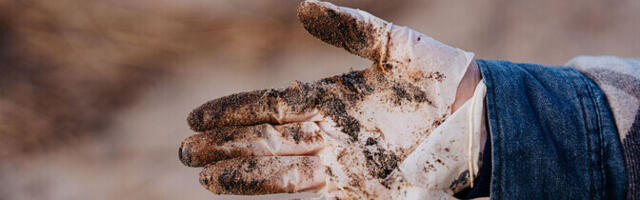 Galerii: Suureliiva rannas on masuudireostus