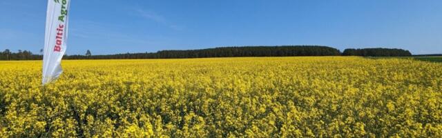 Baltic Agro jagab stipendiume