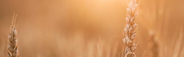 Päevahoroskoop : pühapäev, 17. august