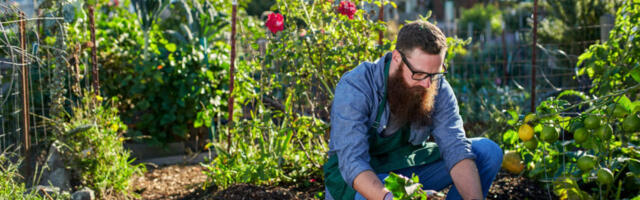 Pealinlased saavad tänavugi linnaaianduse ja keskonnaprojektide jaoks toetust küsida