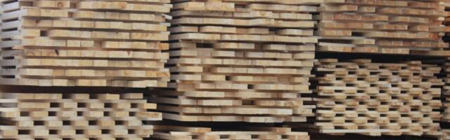 Vähenev nõudlus saematerjali järele pani palgihinnad maailmas langema