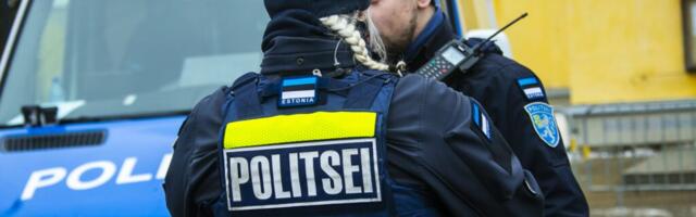 Vajame rohkem politseinikke – muidu satume kriisi