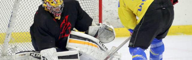 Toeta Ukrainat: heategevuslik hokiturniir ja kaitseväe tehnika näitus Tallinnas