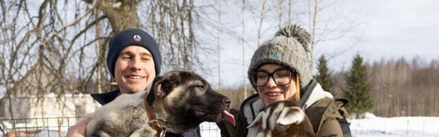 Talus sünnivad abilised lambakasvatajatele. “Huntide tapmisest tuntakse nagu rõõmu”