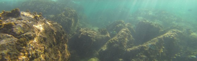 Tai keelas päikesekreemid