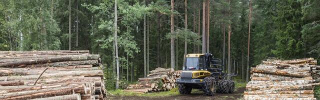 Raiemaht Soomes on vähenenud, süsinikusidumise suurenemist pole siiski täheldatud