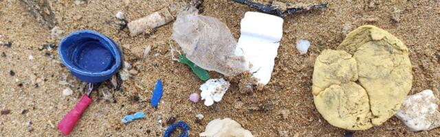 Osale teadustöös: märka prügi rannas ja anna sellest teada